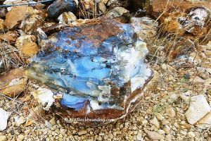 Priday Polka Dot Agate Mine