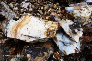 Polka Dot Agate Bed, Oregon