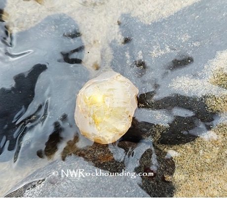 Moolack Beach rockhounding for Oregon agate and jasper