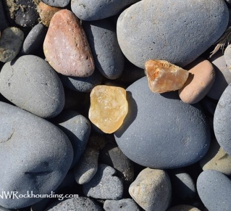 Strawberry Hill Wayside Rockhounding Oregon Coast Agate