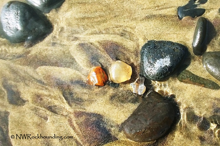 Beverly Beach Agate Hunting - Oregon Coast