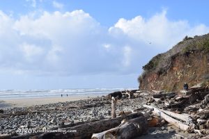 Big Creek Beach Rockhounding Oregon Agates and Jaspers