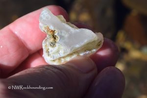 Little Naches River Agate
