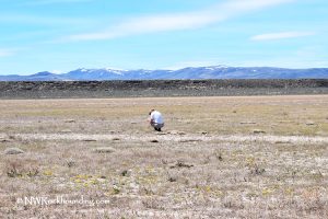 Flook Lake Oregon Rockhounding Hart Mountain National Antelope Refuge