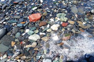 Gold Beach Oregon Rockhounding Gold Beach Rocks