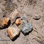 Congleton Hollow Oregon Rockhounding