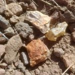 Dendritte Butte Oregon Rockhounding