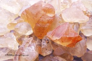 Plush Sunstone Oregon Sunstone Collection Area - Free Digging in Rabbit Basin