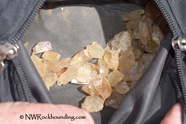 Plush Sunstone Oregon Sunstone Collection Area - Free Digging in Rabbit Basin