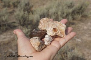 North Beede Reservoir Rockhounding Oregon