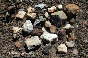 Oregon Fischer Canyon Rockhounding