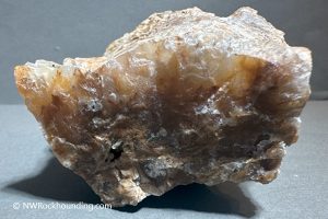 Eagle Rock Plume Agate oregon rockhounding