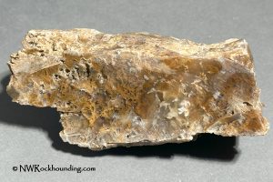 Eagle Rock Plume Agate oregon rockhounding