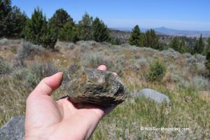 Maury Mountain Agate Beds in Oregon Rockhounding