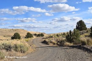 Warm Springs Reservoir Rockhounding Oregon with agates, jasper, and petrified wood