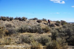 Harney Basin Oregon Rockhounding