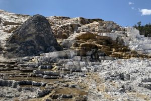 Mammoth Hot Springs Yellowstone National Park – A striking image of the white and golden travertine terraces with a dark, dome-shaped rock formation on the left. The mineral-rich water has built intricate cascading layers, contrasting with the arid, rocky surroundings.