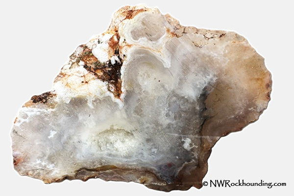 Scull Springs - Butte Creek at Crowley Road Agate, Oregon