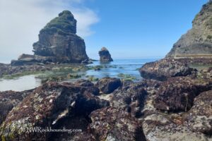 Harris Beach State Park, Oregon Coast