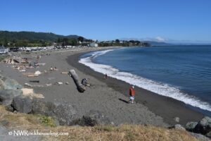 Sport Haven Beach Brookings Rockhounding Oregon: A view of a pebbled beach with a few people scattered along the shoreline. The beach is bordered by driftwood, and the ocean waves are rolling in. Buildings and greenery are visible in the distance under a bright blue sky.