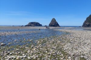 Whaleshead Beach - South Oregon Coast