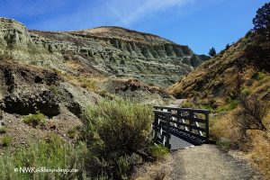 John Day Fossil Beds National Monument Blue Basin Oregon pathway hiking
