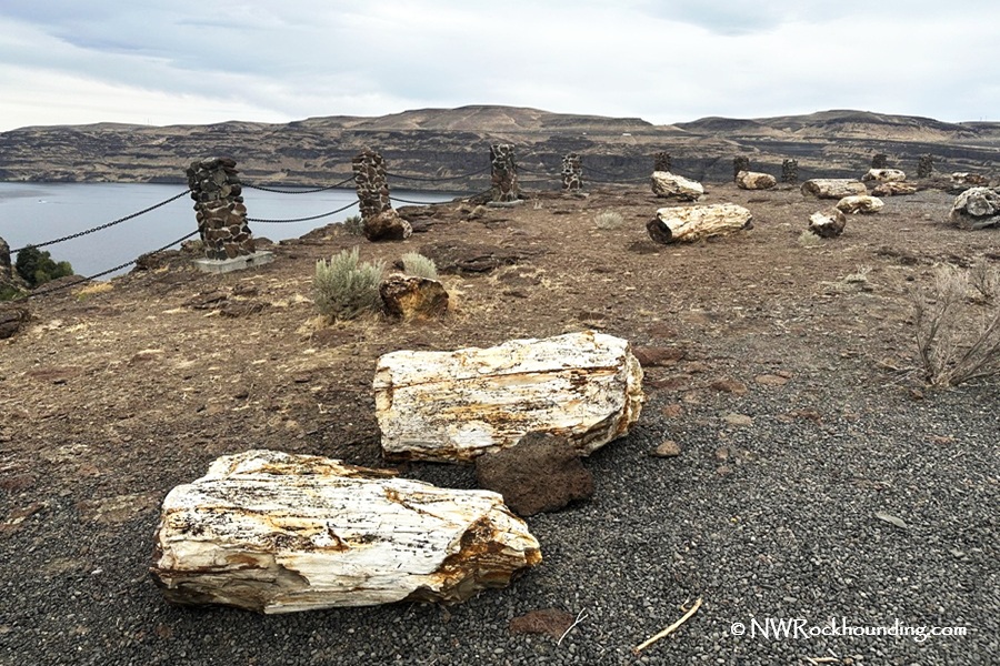 Ginkgo Petrified Forest State Park: A Must-Visit Fossil Forest: Several petrified logs are displayed on a gravel surface, with a scenic view of a river and distant hills under a clear blue sky, showcasing the natural beauty and geological significance of the area.
