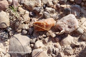 Negro Rock Rockhounding