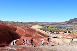 John Day Fossil Beds National Monument, Painted Hills. Group of people hiking on a colorful, red and yellow hilly terrain with a lake and mountains in the background under a clear blue sky in Painted Hills Oregon