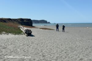 Big Lagoon Beach County Park California: Two people stand facing the ocean on a wide, sandy beach with a large piece of driftwood, grassy dunes, and rocky cliffs in the distance under a clear blue sky.