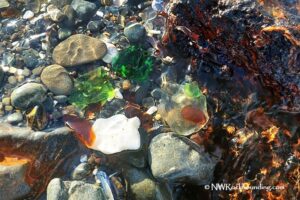 Glass Beach, Fort Bragg, California Coast