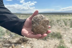 Rabbit Springs Whole Thunderegg Rockhounding: A hand holding a rough, round thunderegg specimen against a backdrop of open desert landscape under a partly cloudy sky.
