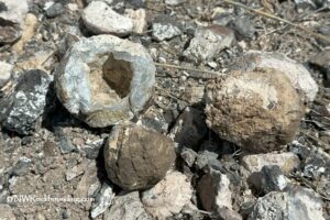 Rabbit Springs Thunderegg Rockhounding: Several rough, round thundereggs on the ground, with one split open to reveal its crystalline interior, surrounded by scattered rocks and desert soil.