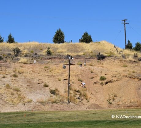Wheeler High School Fossil Beds Rockhounding: The picture "Wheeler High School Fossil Beds Rockhounding hillside dig site" shows a dry, grassy hillside with several people digging for fossils on the slope, utility poles and scattered trees on top, and a grassy field at the bottom under a clear blue sky.