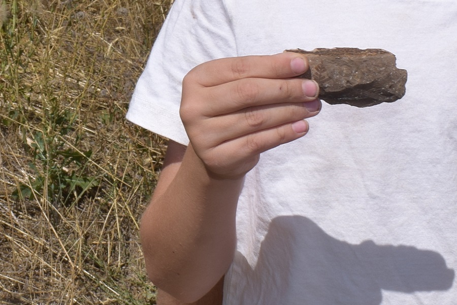 Wheeler High School Fossil Beds Rockhounding: The picture "Wheeler High School Fossil Beds Rockhounding hand holding a fossil" shows a close-up of a person in a white shirt holding a brown fossil in their hand, with dry grass and plants in the blurry background.