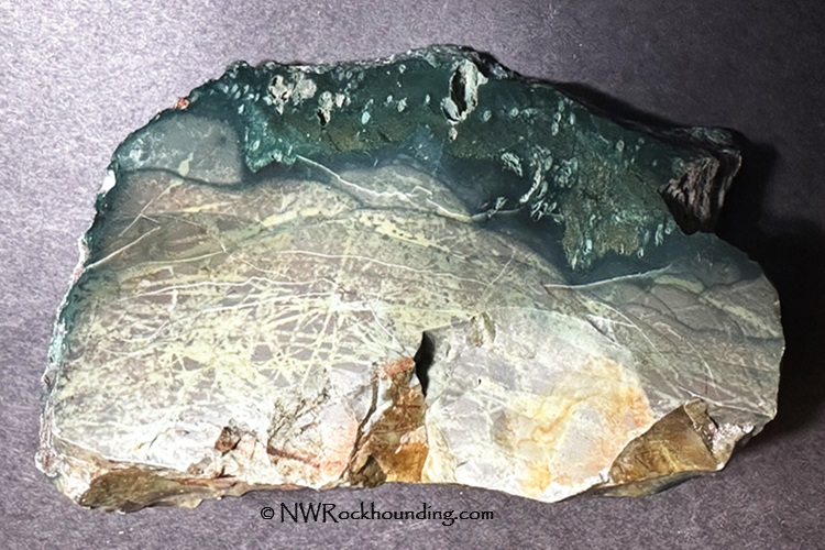 Hampton Petrified Wood, Oregon