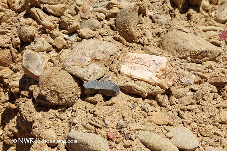 Panoche Hills Rockhounding in California near Mercey Hot Springs: The picture "Panoche Hills Rockhounding in California near Mercey Hot Springs gravel and quartz" shows a close-up of sandy soil and gravel with various rocks, including pieces of clear quartz and creamy tan stones.