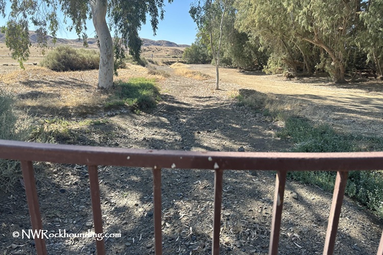 Panoche Hills Rockhounding in California near Mercey Hot Springs: The picture "Panoche Hills Rockhounding in California near Mercey Hot Springs dry creek and trees" shows a dry, rocky creek bed behind a metal fence, with scattered bushes, trees, and distant hills under a clear sky.