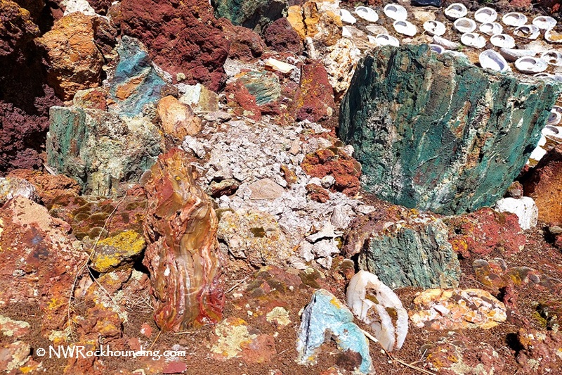 Petersen Rock Garden in Oregon: The picture "Petersen Rock Garden in Oregon colorful rock wall" shows a close-up of a vibrant rock wall made from a variety of colorful stones, including green, red, and blue rocks, with embedded white agate slices.
