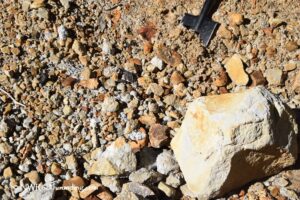 Best Shovels for Rockhounding