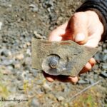 Delintmant Lake, Oregon - Ammonite Fossils