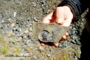 Delintmant Lake, Oregon - Ammonite Fossils