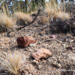 Dry Creek Collecting Area, Oregon