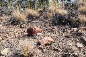 Dry Creek Collecting Area, Oregon