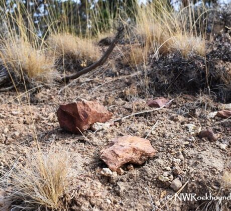Dry Creek Collecting Area, Oregon