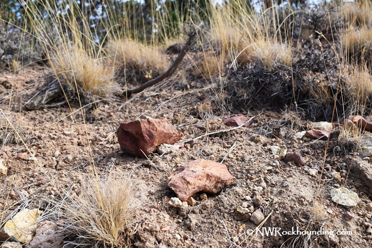 Dry Creek Collecting Area, Oregon