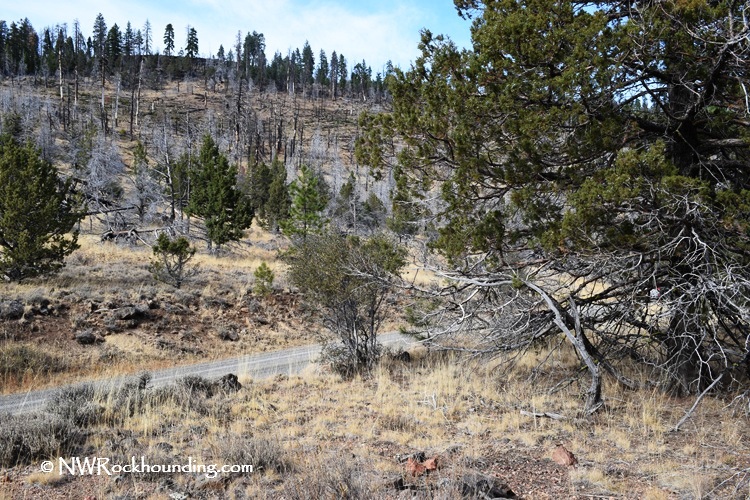 Dry Creek, Lakeview, Oregon