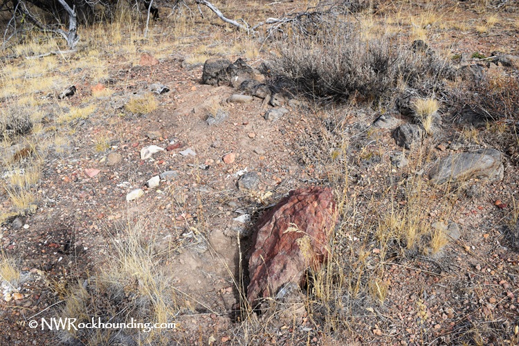 Dry Creek Collecting Area, Oregon