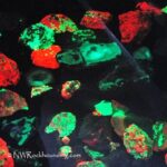 Fluorescent Minerals of the Western United States