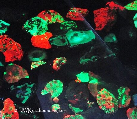 Fluorescent Minerals of the Western United States